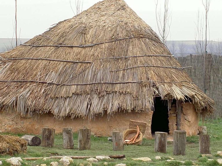 Cabaña Parque Arqueológico