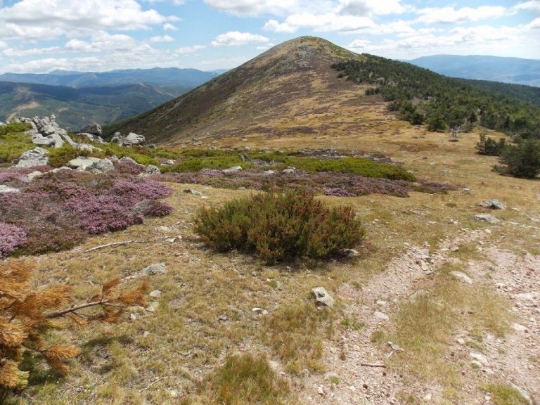 La Solana de la Sierra de Mencilla