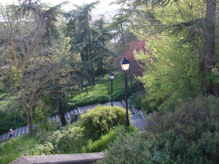 Parque Forestal del Castillo