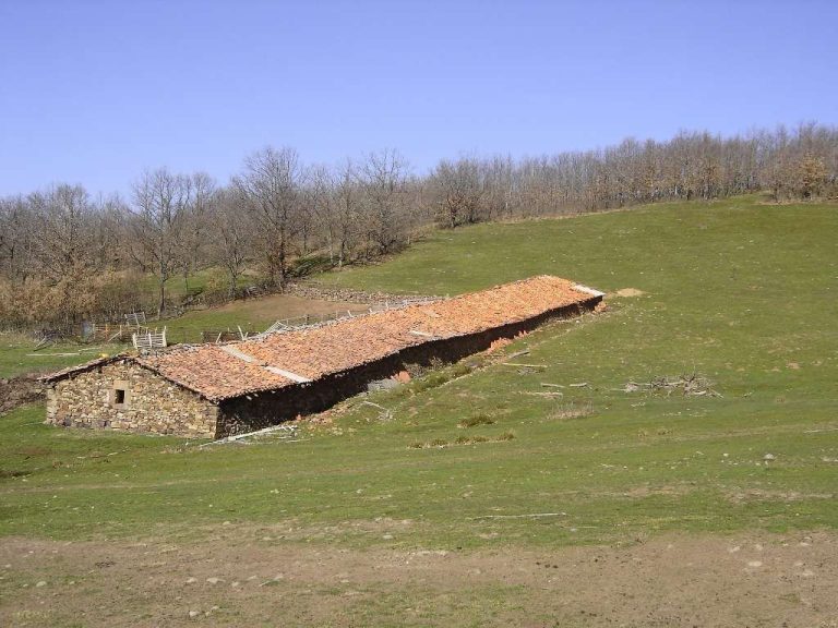 Tenada en la Sierra de la Demanda