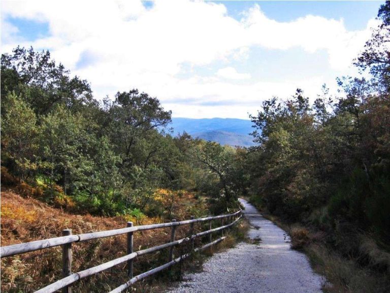 Via Verde de la Demanda