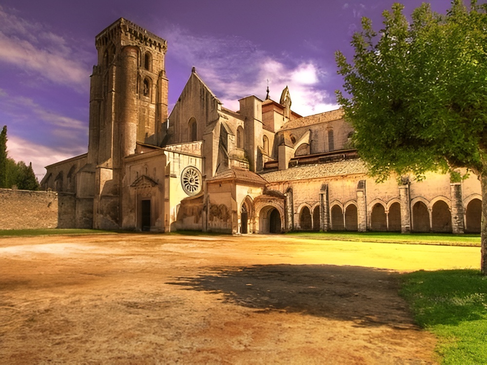 image 2025 08 13T113616.915 (1)